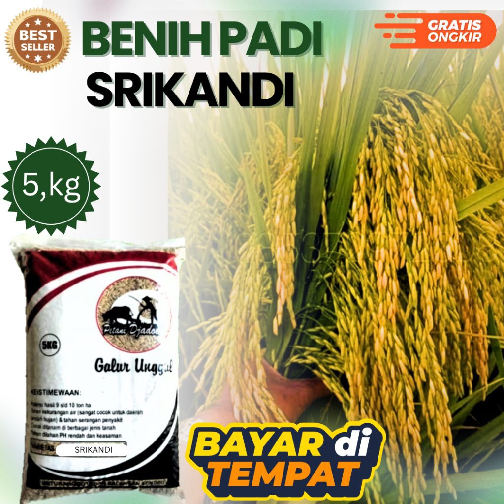 BENIH PADI SRIKANDI KEMASAN 5 KG BENIH PADI KUALITAS GENJAH ORIGINAL