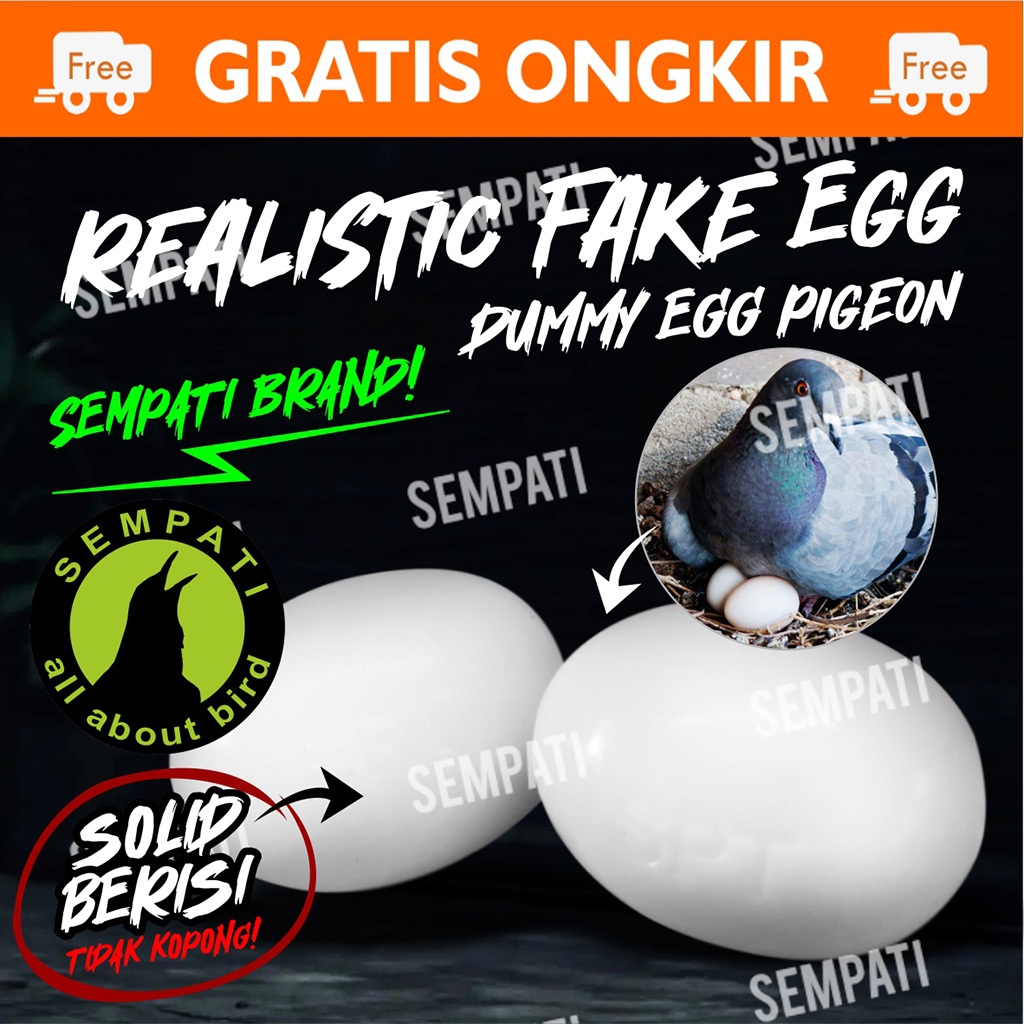 SEMPATI Telur Palsu Mainan Burung Merpati Dara Ayam Telur Imitasi Tiruan Replika Fake Egg Pigeon Isi