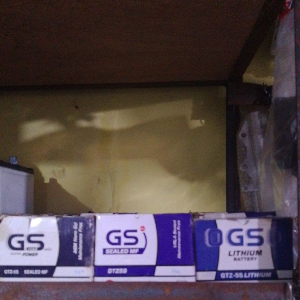AkiGS