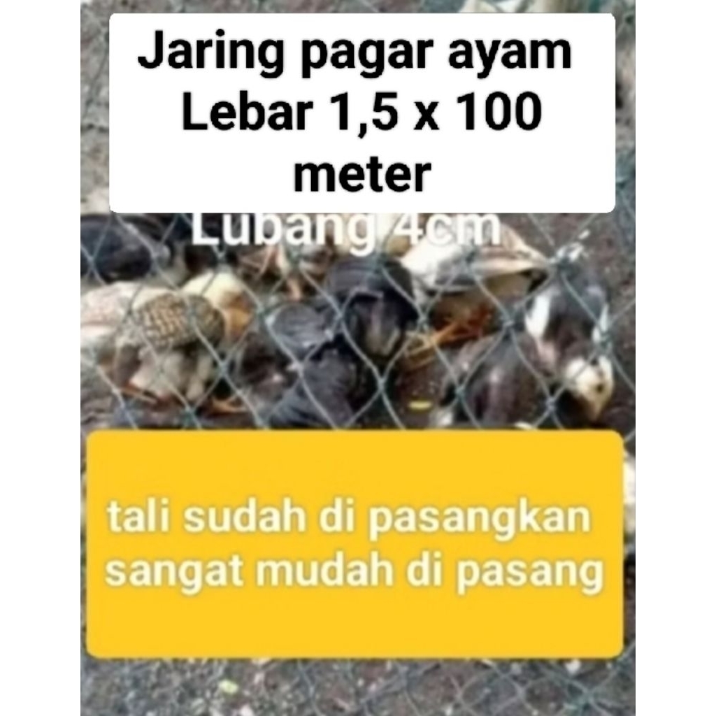 Jaring pagar ayam/jaring kandang ayam/Lebar 1,5m x 100 meter/2 tali sudah di pasang kan