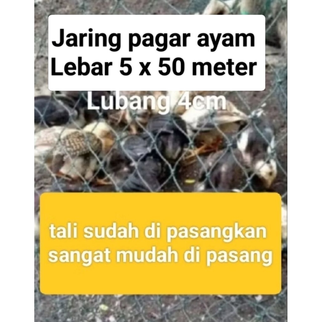 Jaring pagar ayam Lebar 5 x 50 meter/jaring kandang ayam