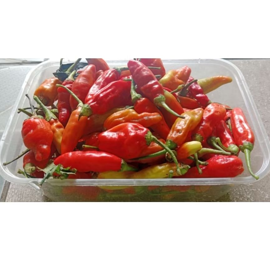 Cabai Rawit Merah (Cengek Domba) per 1 ons