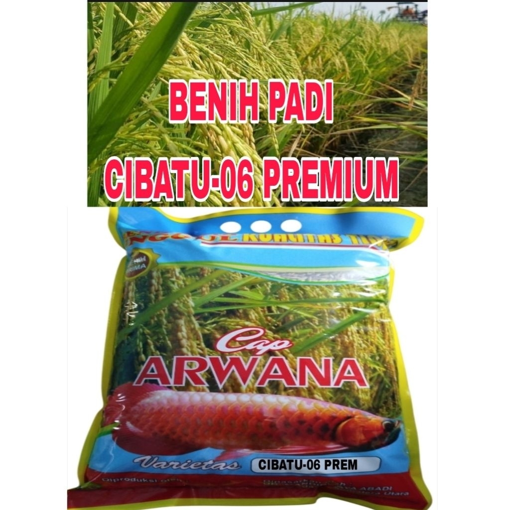 Cod 5kg benih padi cibatu-06 premium super unggul berbobot kwakitasn original label putih
