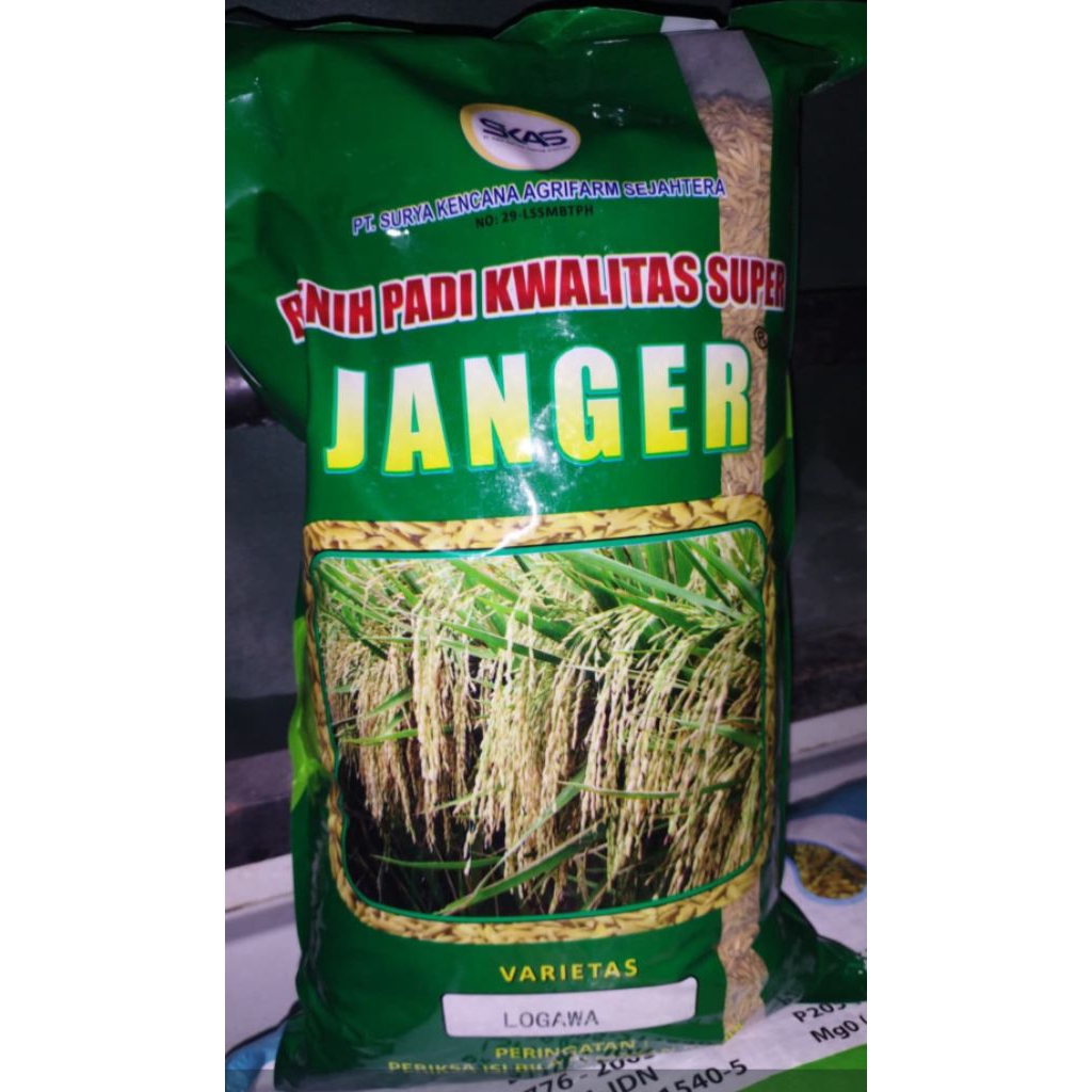 BENIH PADI LOGAWA JANGER