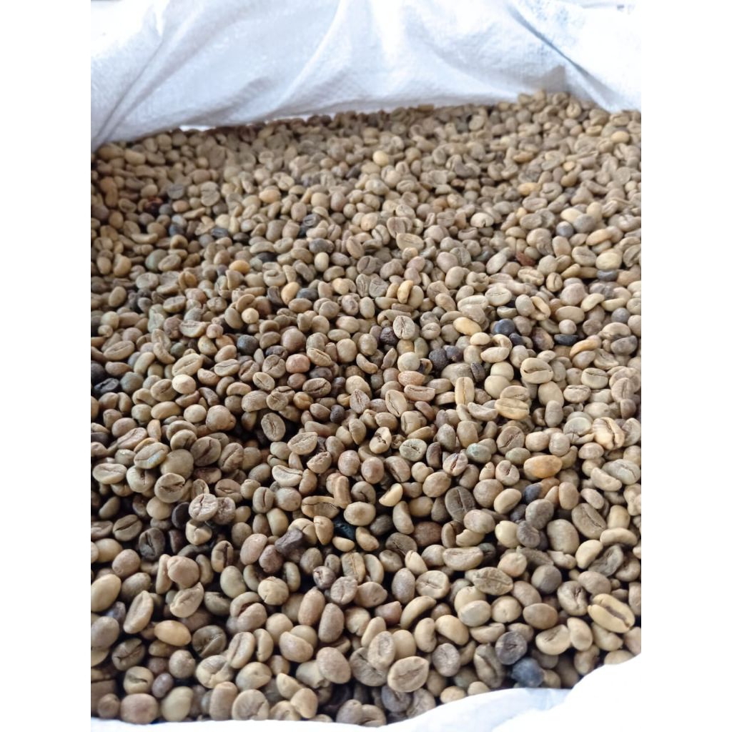 green  bean kopi robusta lampung asalan original 20kg
