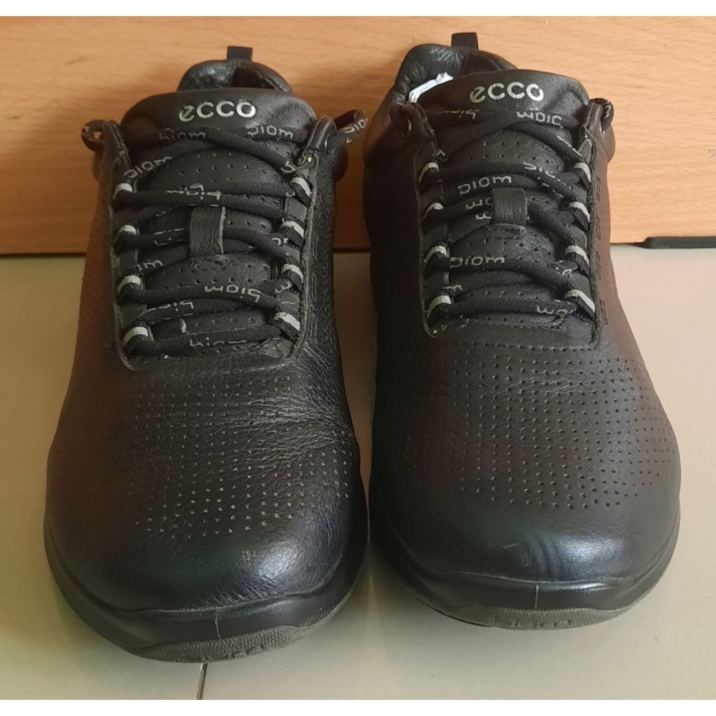 Sepatu Ecco Biom 40