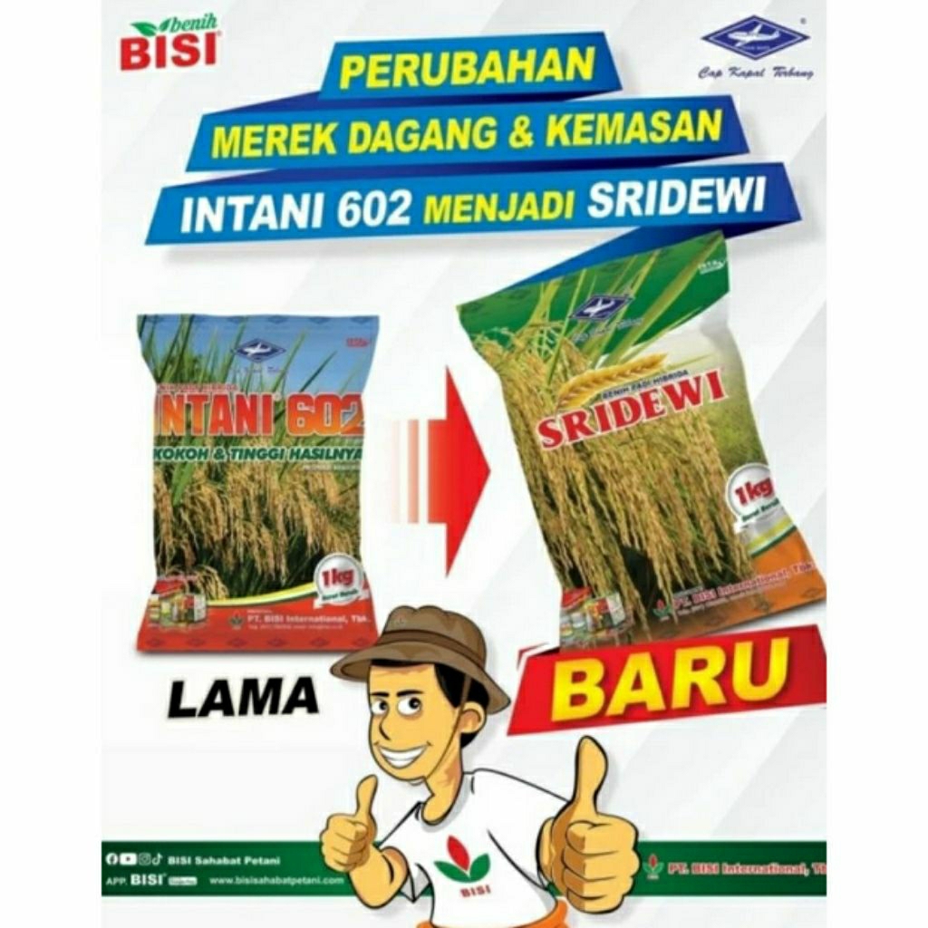 benih padi hibrida INTANI 602 cap kapal terbang