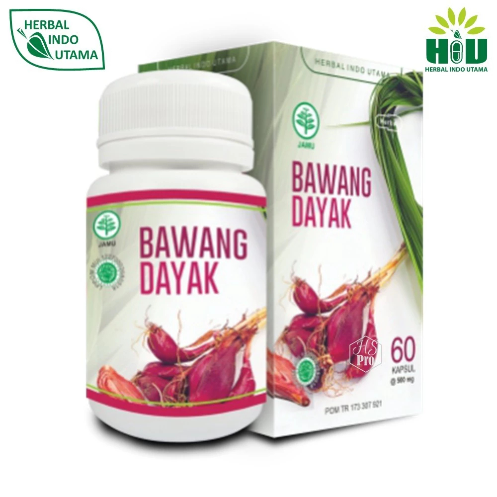 HERBAL INDO UTAMA - Kapsul Bawang Dayak 60 Kapsul - Bawang Dayak Original