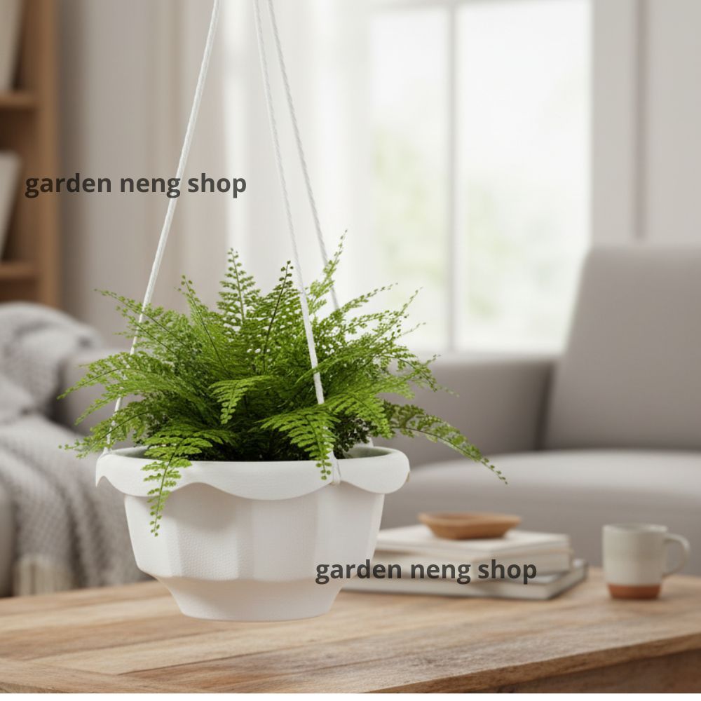 Pot Gantung dahlia putih cantik -pot gantung murah grosir-pot gantung putih (POTNYA SAJA)