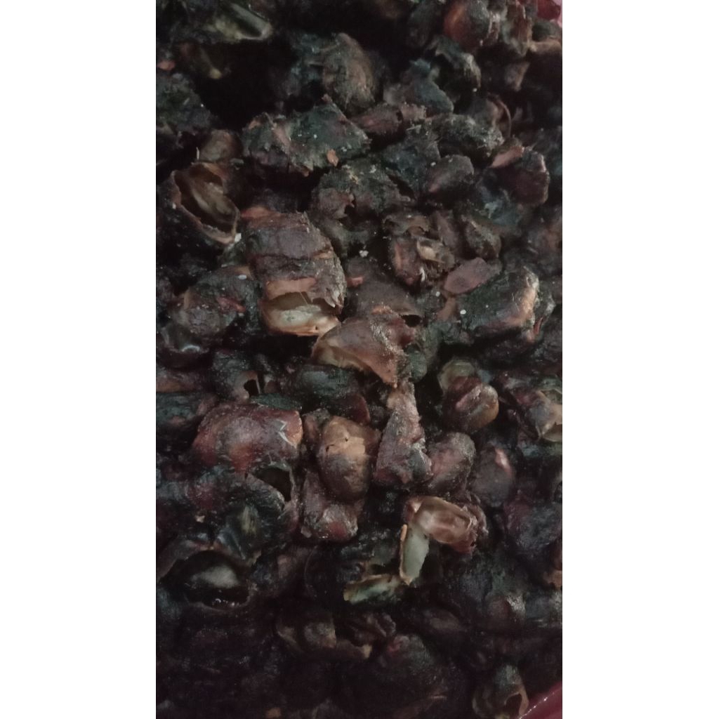 Asam Jawa Asli Tanpa Biji 1kg