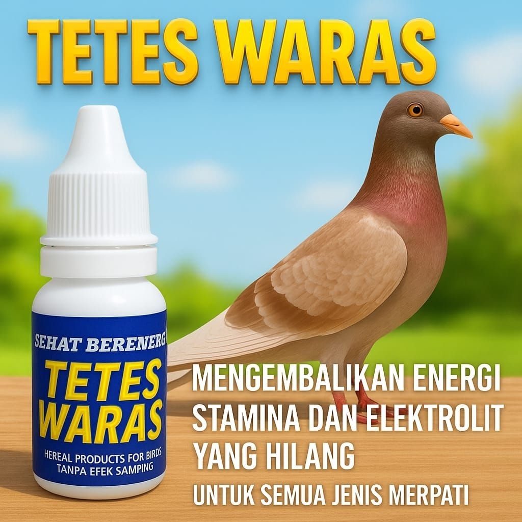 Doping merpati lomba dan obat merpati tetes waras mengobati burung /snot/berak hijau/burung nyilet k