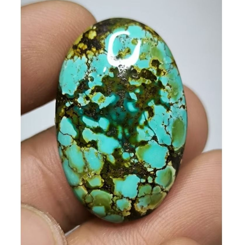 Pirus Hubei ceplok Ajib