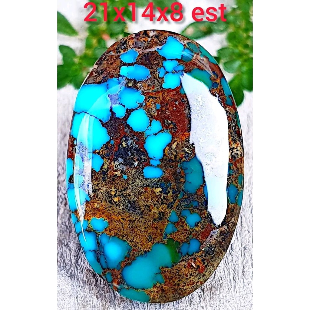 Pirus Persia Biru ceplok kuro mewah