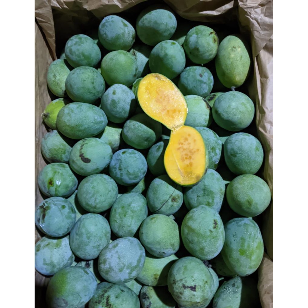 MANGGA MADU/MANALAGI 1 KG