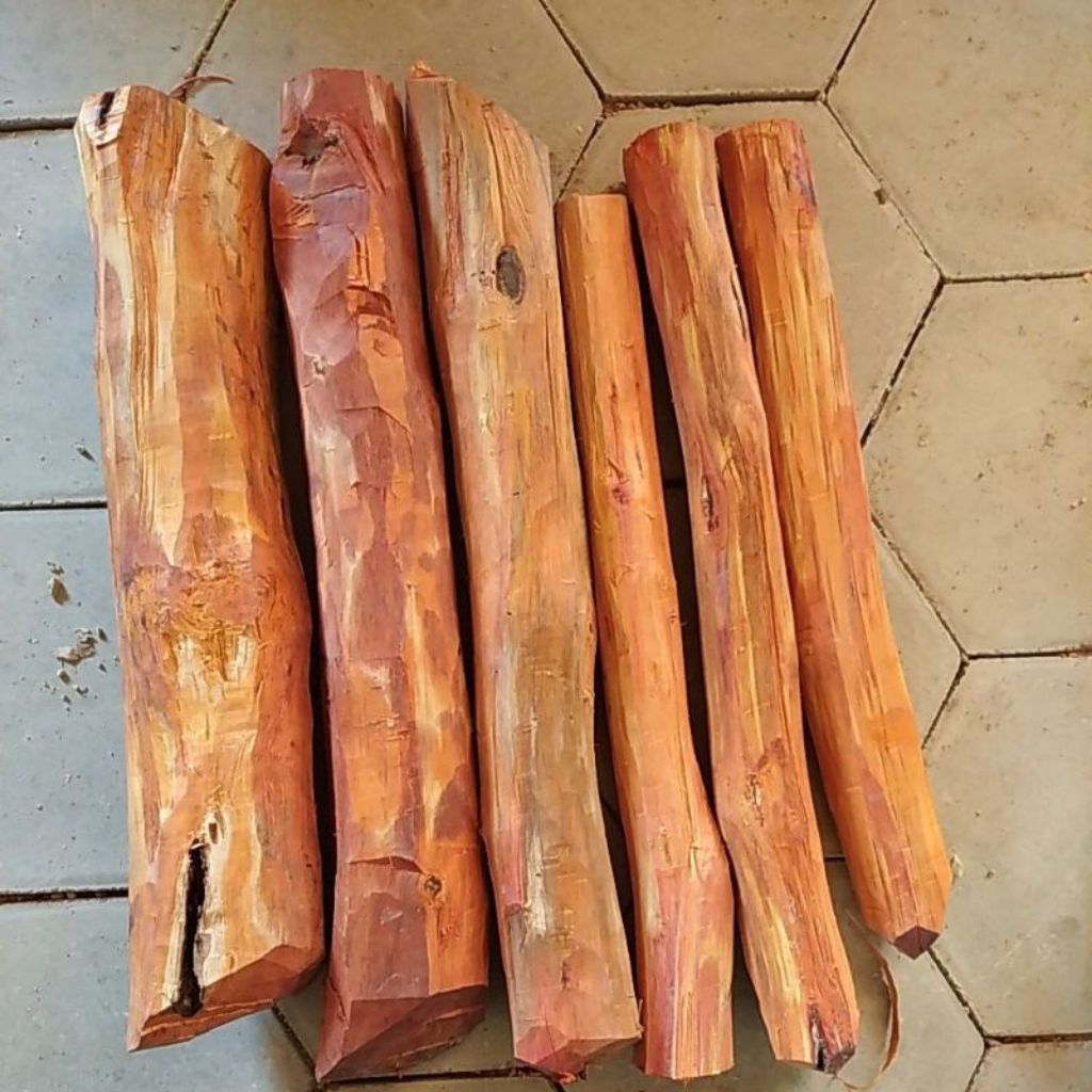 6 batang kayu secang