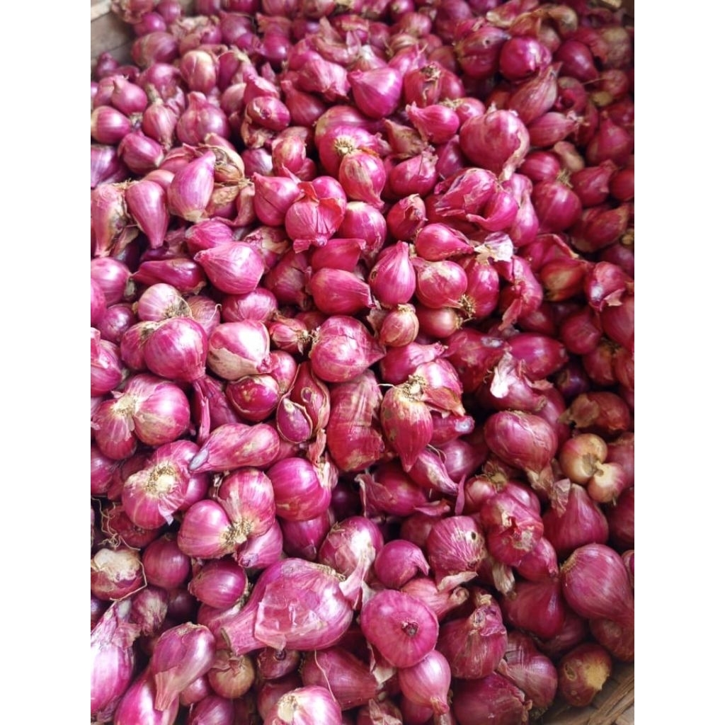 Bawang Merah 1kg