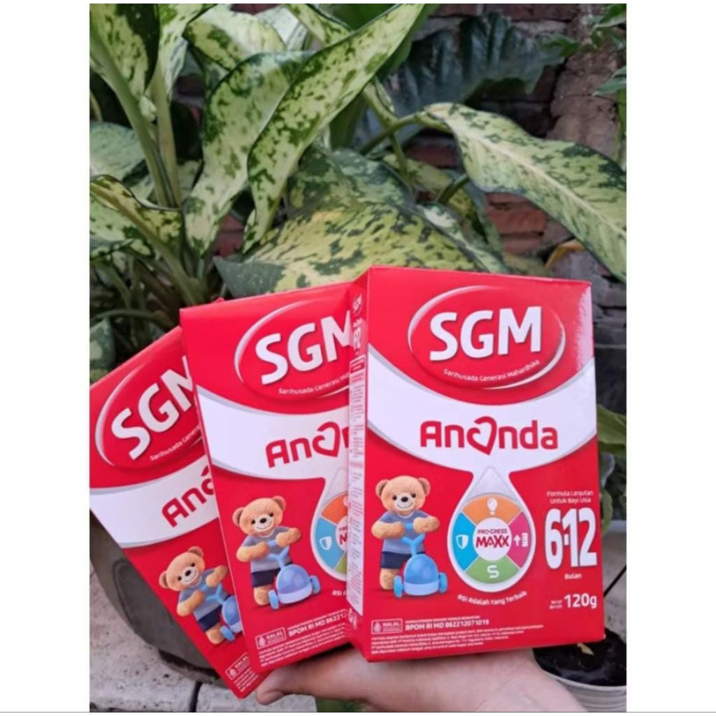 SGM Ananda 0-6/6-12 bulan 120gram