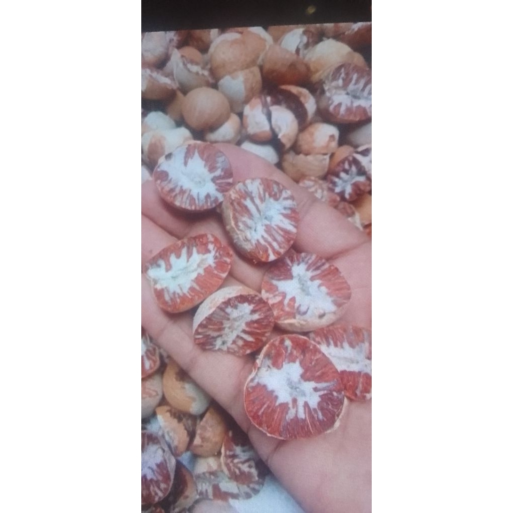 pinangHelium