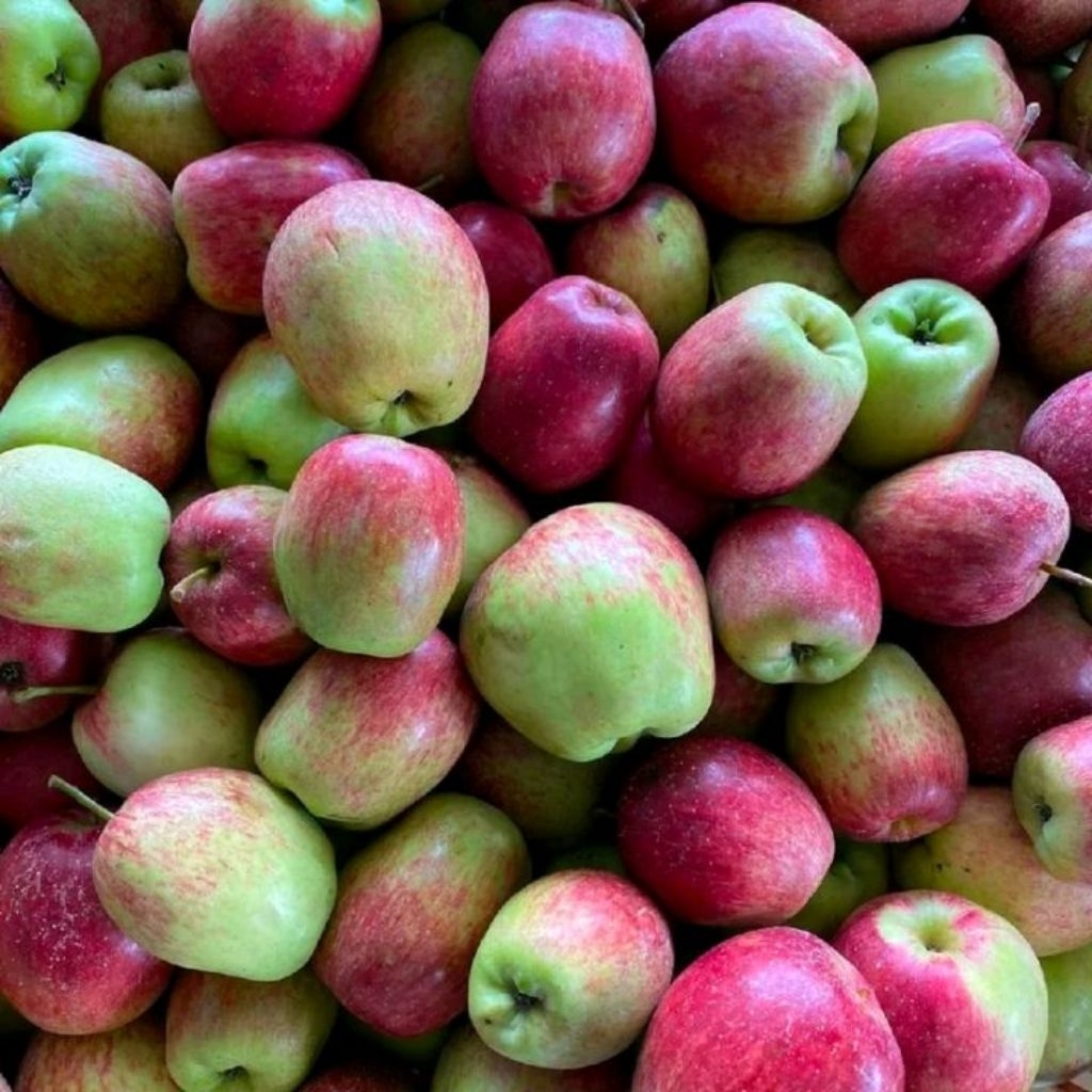 Apel ana apel malang 1 kg