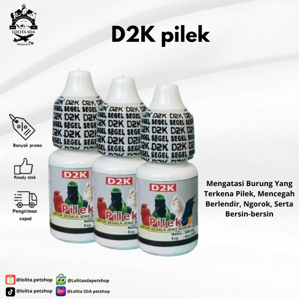D2K Pilek obat burung sakit pilek hidung berlendir ngorok bulu ngmbang