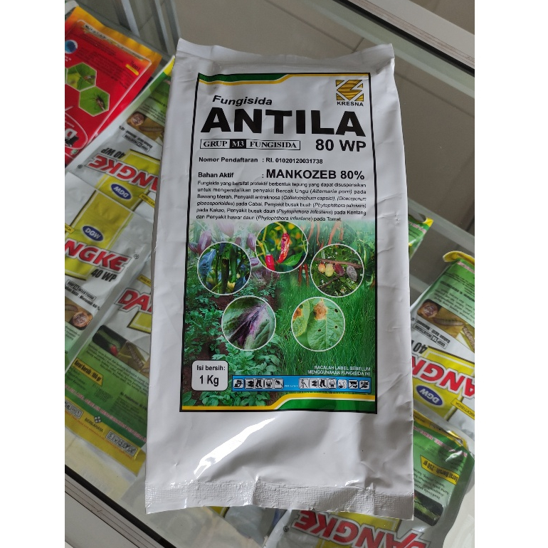 ANTILA 1KG  Fungisida