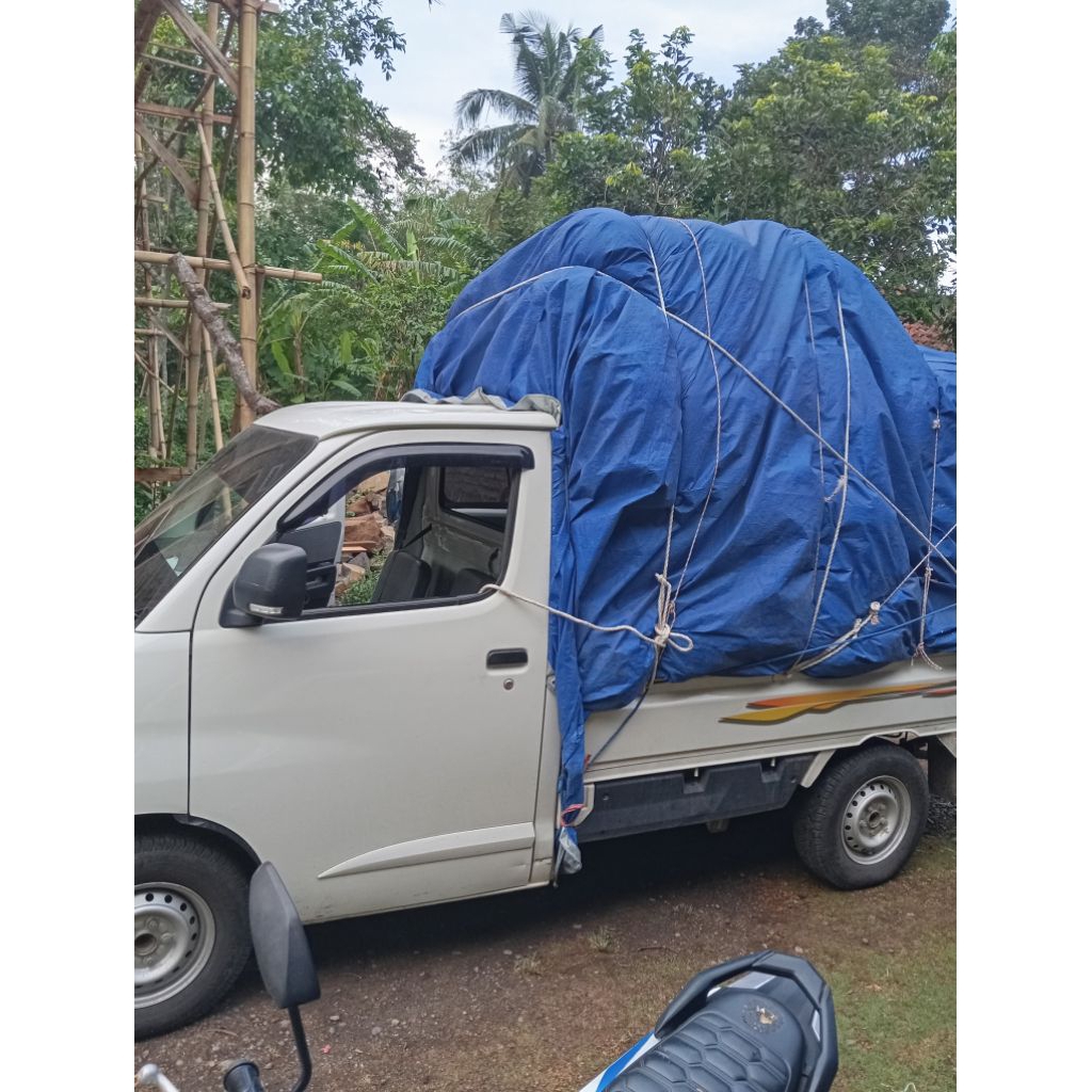 Gur-gur paiton Probolinggo