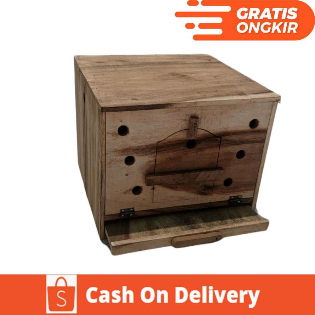 PAGUPON BURUNG MERPATI, DARA, PERKUTUT, DLL