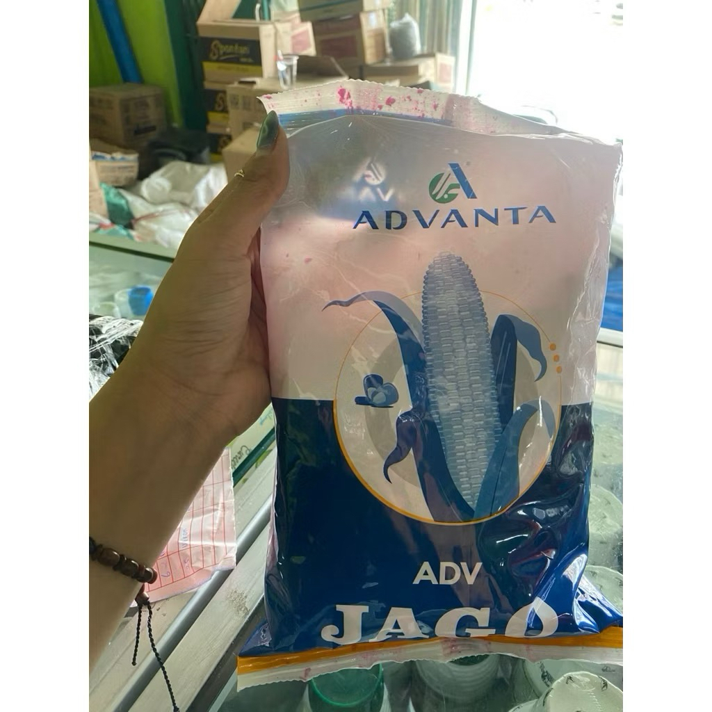 Benih Jagung ADV JAGO Advanta 1kg