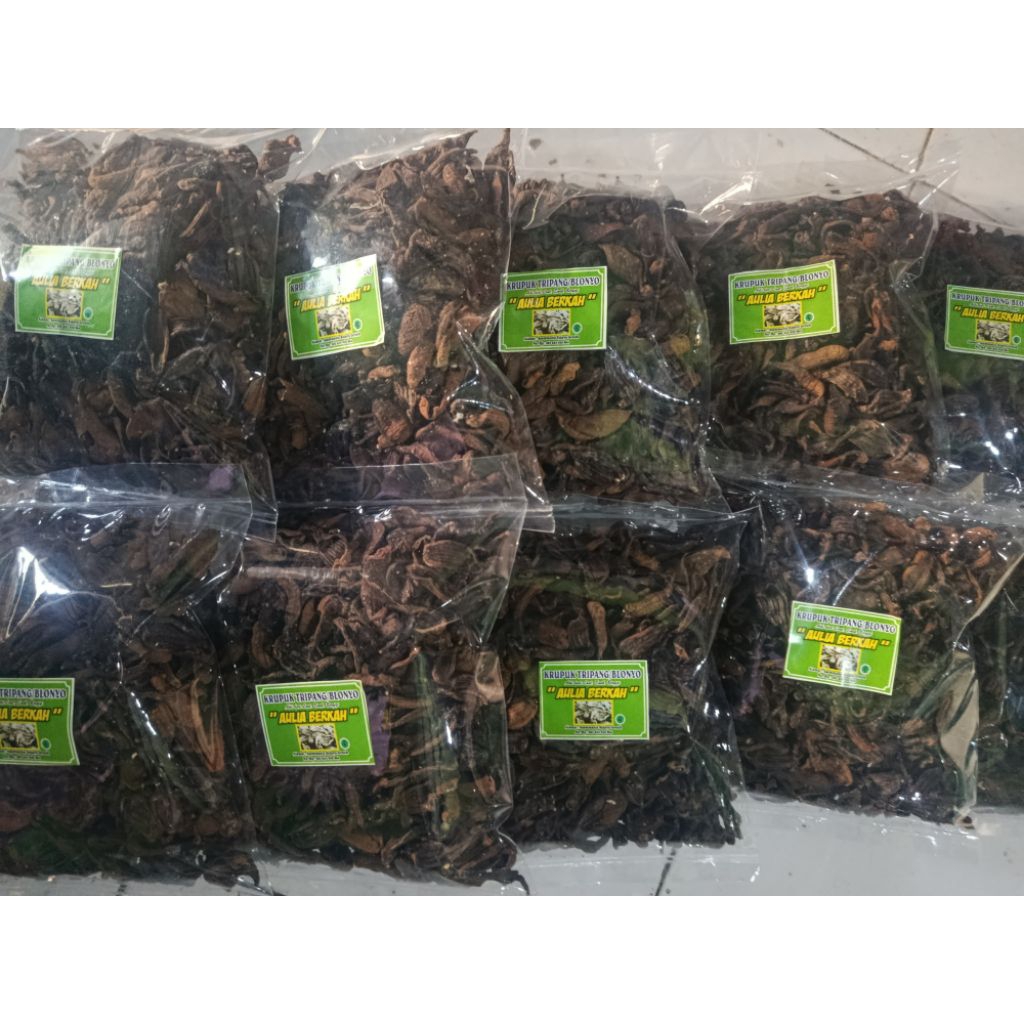 krupuk tripang mentah (500gr)