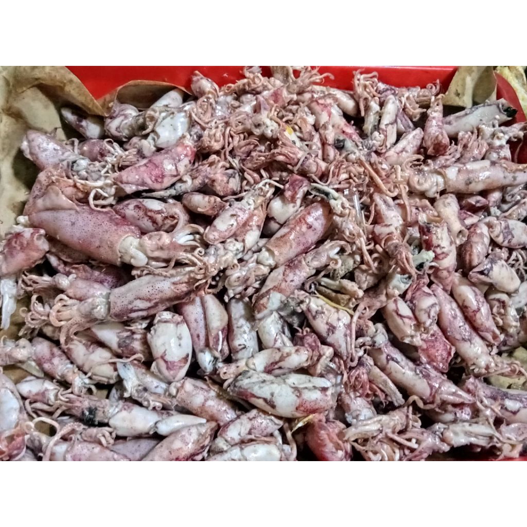 ikan asin cumi sotong