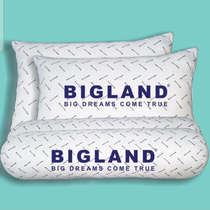 BIG FOAM BANTAL MEMORY FOAM BIGLAND / GULING MEMORY FOAM BIGLAND