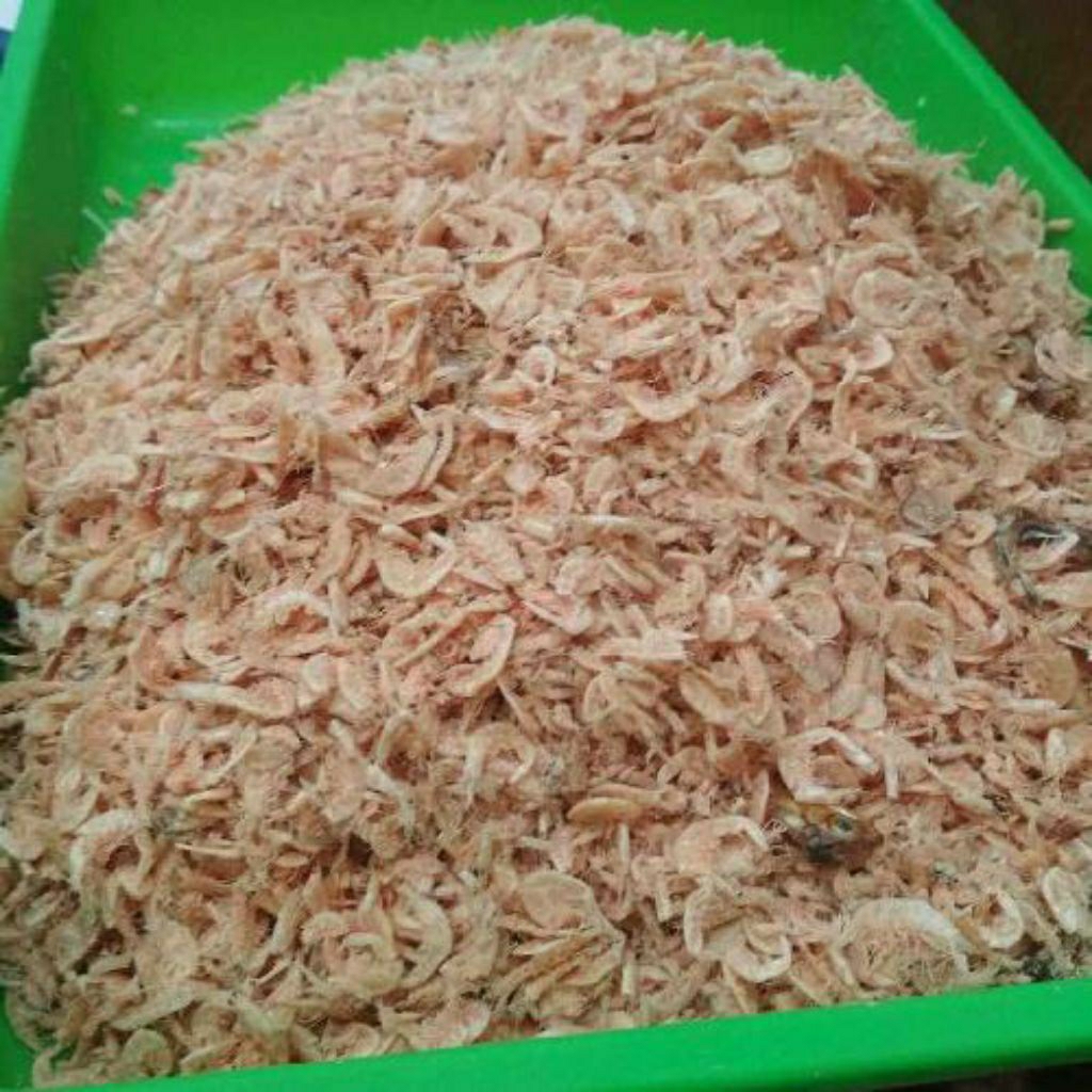 UDANG HALUS/UDANG KECEPE/REBON