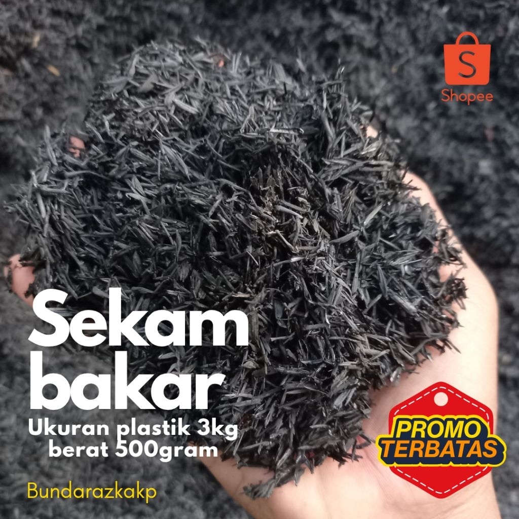 Sekam bakar arang padi sekam padi media tanaman sekam bakar padi media tanam sekam bakar berat sekam