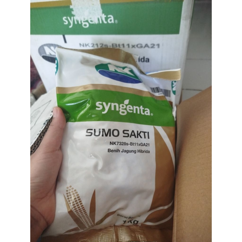 BENIH JAGUNG SUMO SAKTI