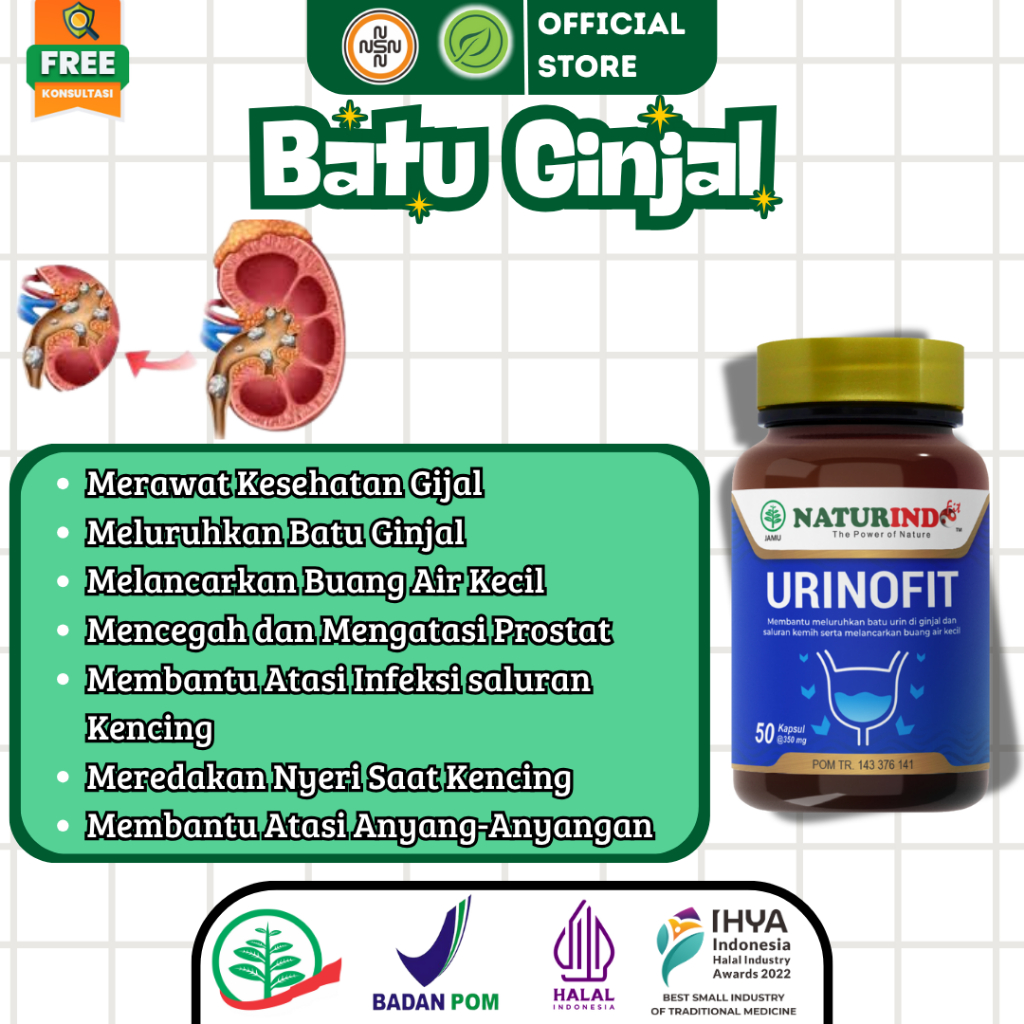 Herbal Atasi Batu Ginjal BAK Tidak Lancar Anyang-Anyangan Infeksi Saluran Kemih URINOFIT NATURINDO