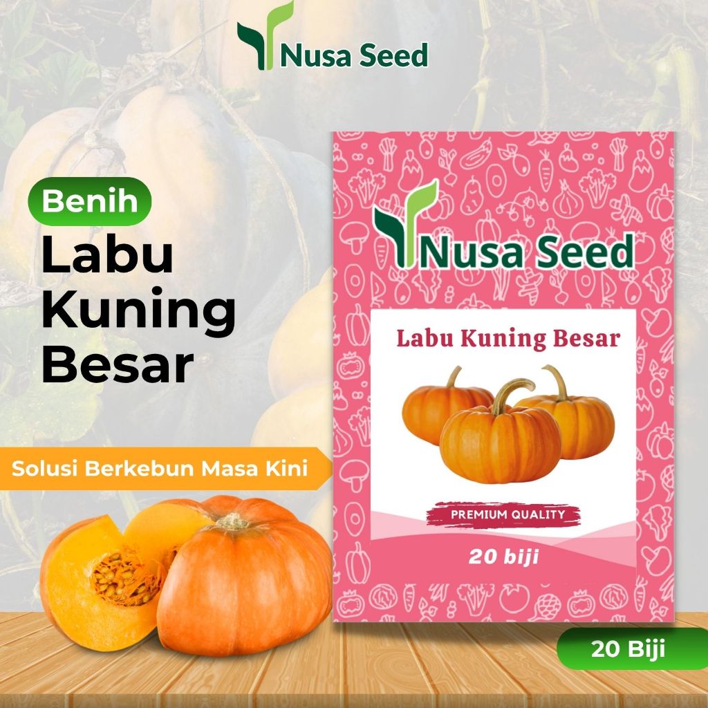 Nusa Seed – Benih Labu Kuning Besar 20 Biji Unggul