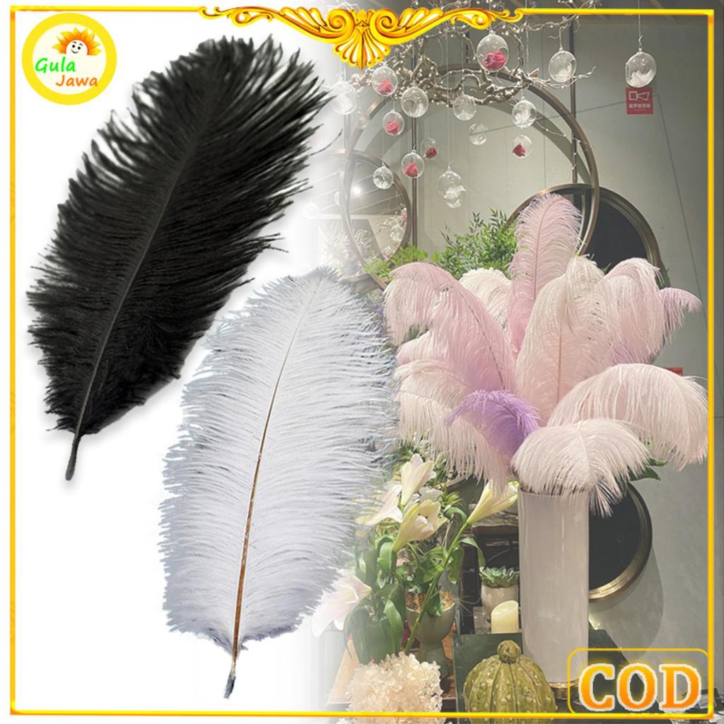 Rumah Tailor - 100% Bulu Burung Ostrich Asli Bulu Ostrich Feather 35-45Cm