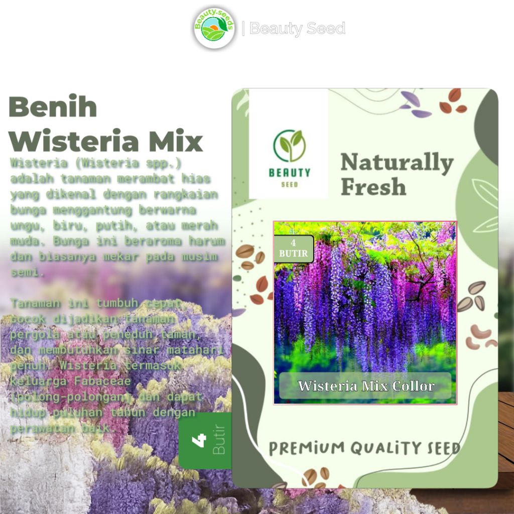 Benih Bibit Wisteria Mix 4 Warna - Mix Collor Japanese Wisteria Seed