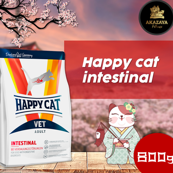 HAPPY CAT INTESTINAL | HAPPY CAT INTESTINAL KEMASAN 800GR REPACK | MAKANAN KUCING HAPPY CAT INTESTIN