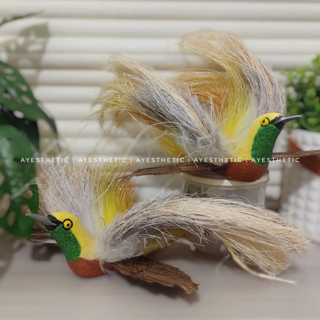 [TERMURAH] Realpict Miniatur burung cendrawasih papua maluku ntt palsu / bulu cenderawasih replika /