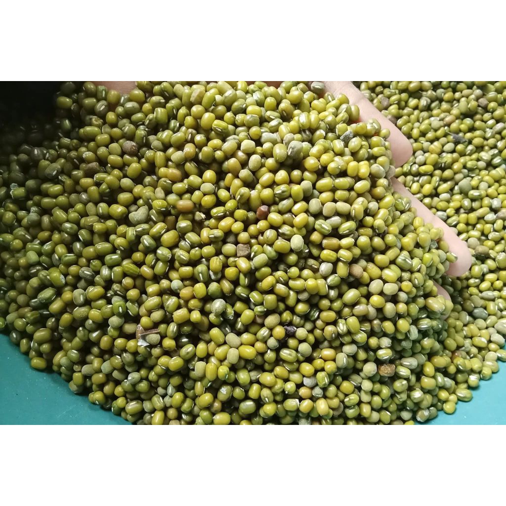 kacang ijo lokal/kacang ijo bubur 250 g