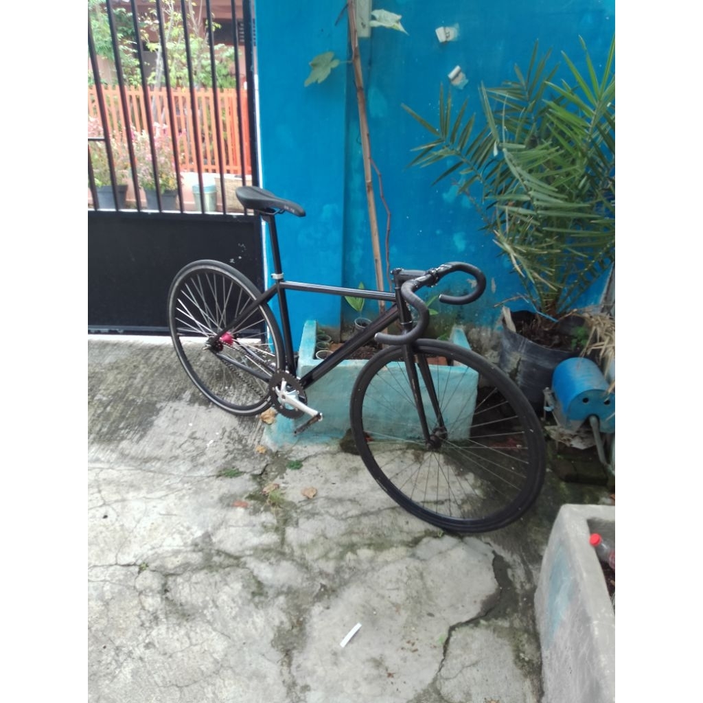 frame only soloist 02