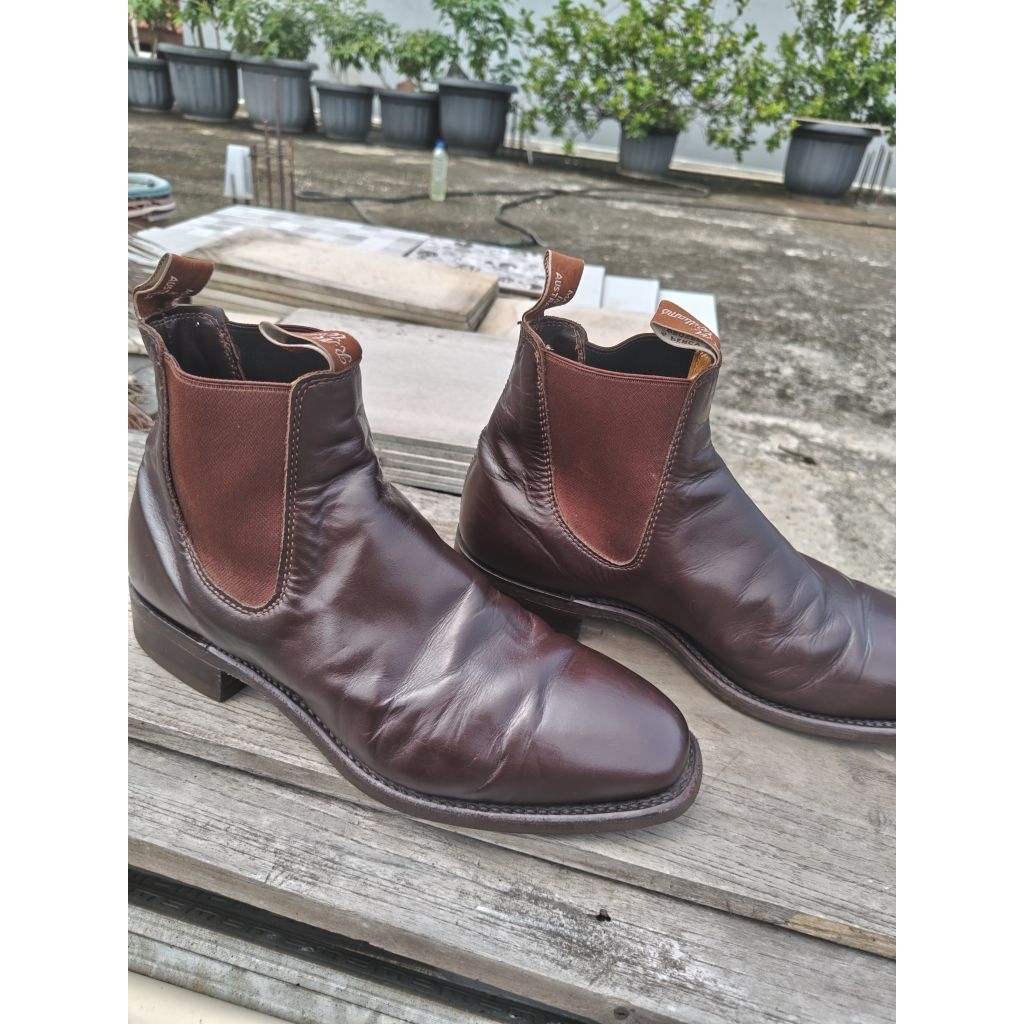 RM Williams Chelsea boots