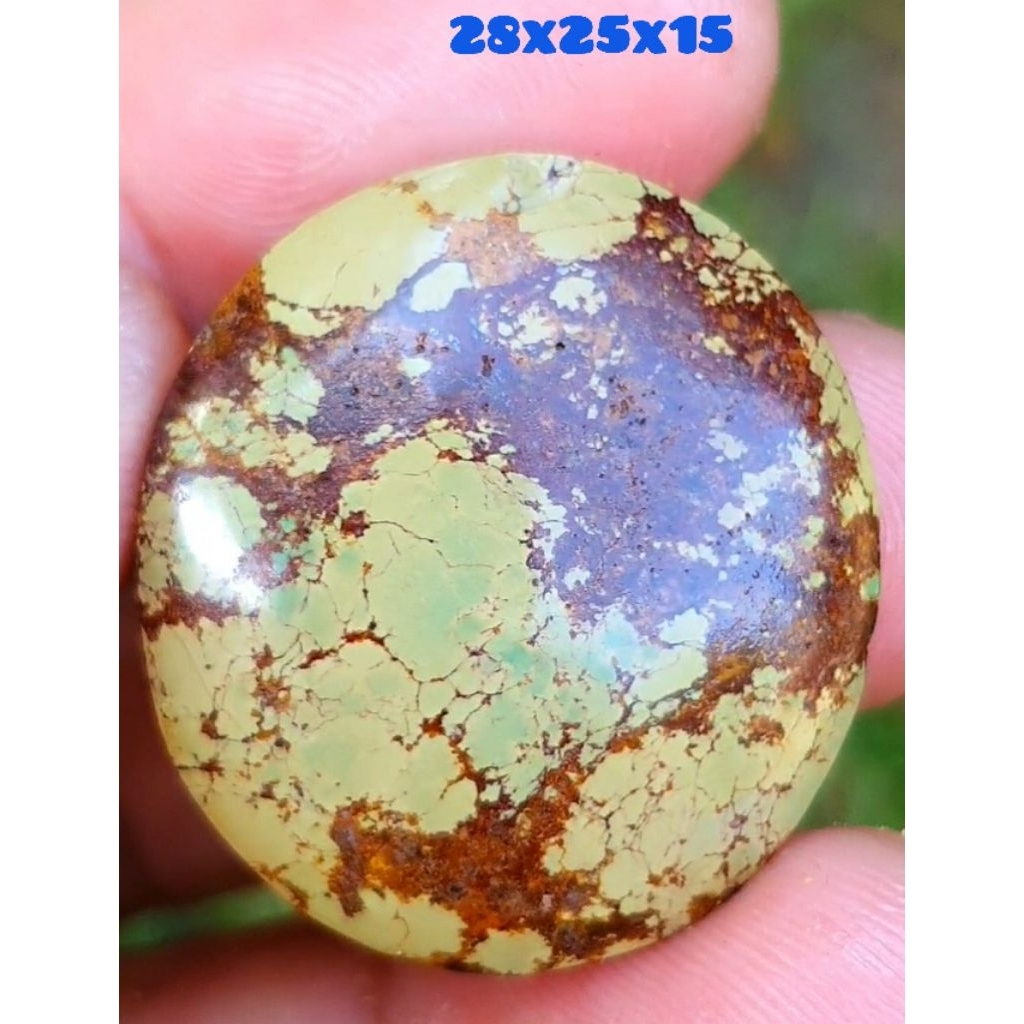 pirus persia natural kualitas super