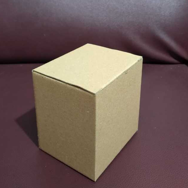 Kardus die cut dus pizza 9,5x8x10