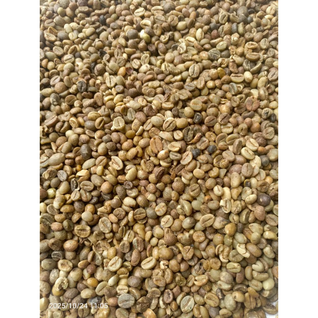 Promo Kopi Robusta Mentah asalan Lampung 1kg