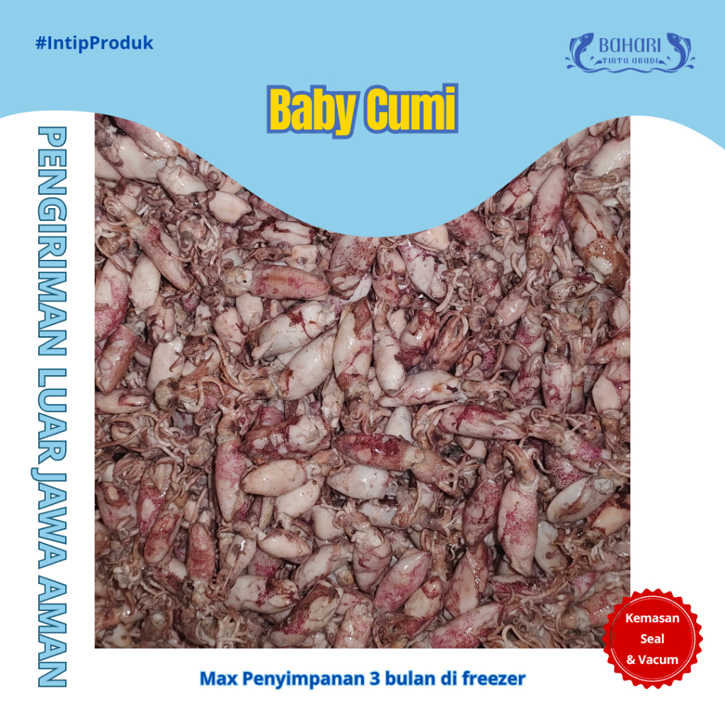 BAHARI TIRTA ABADI - SOTONG CUMI BABY REBUS ASIN MUARA 1kg 500gr 250gr