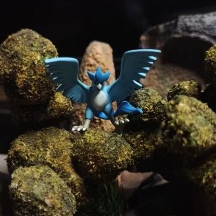 pokemon figure - articuno - Tomy