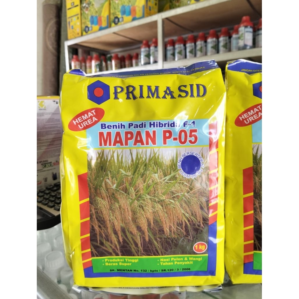 BIBIT PADI MAPAN 05 1KG