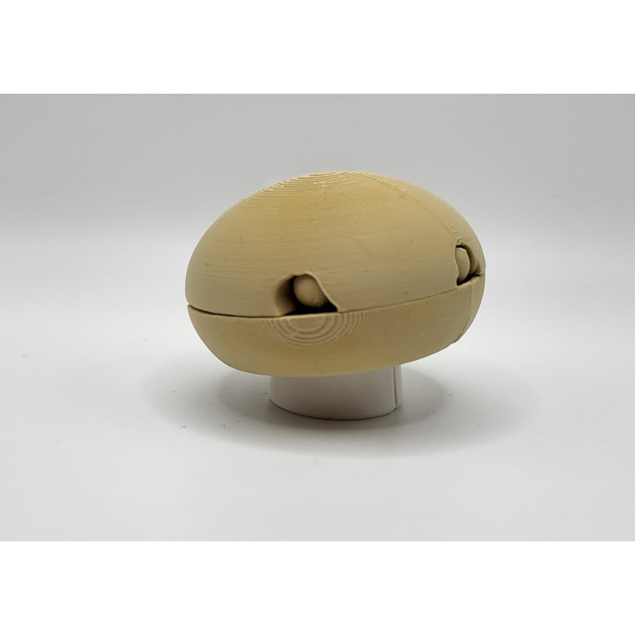 Robot Button Transformer – Mainan Robot Artikulasi Transformasi Otomatis